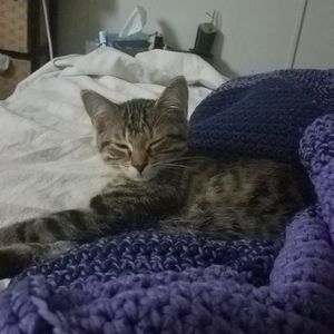 Meet your Posher, Michelle